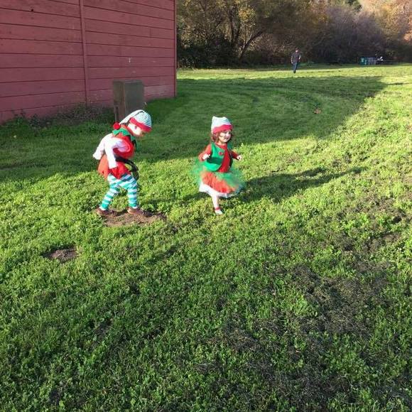 Meet your Posher, Alioska - Picture 1 of 1